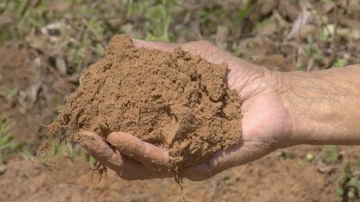 River Silt Truckload (6-14 CYS)